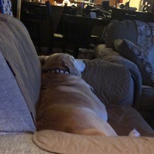 Meet your Posher, Missy